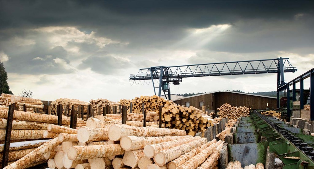 inprove-forestry-industry-consulting